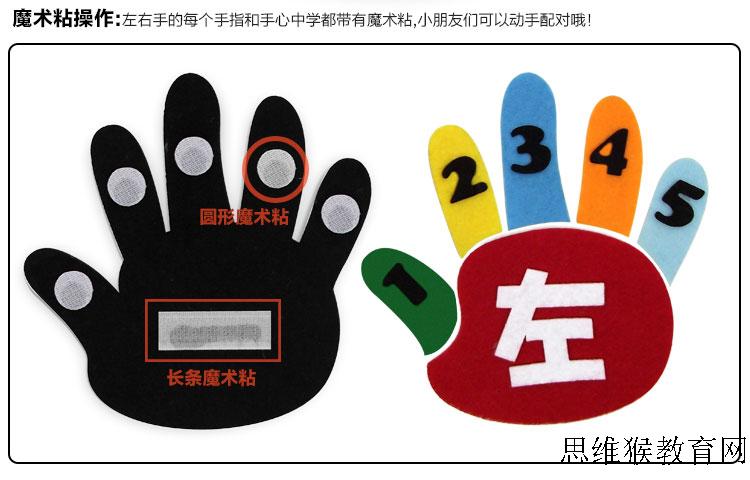 幼儿园游戏活动手工制作玩教具 幼儿园数学左右手一物